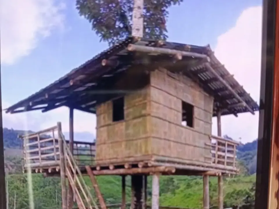 บ้านต้นไม้ / บ้านไม้ไผ่ยกสูง