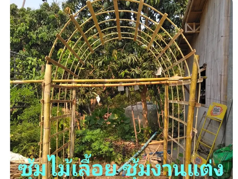 ซุ้มไม้เลื้อย / ซุ้มงานแต่ง