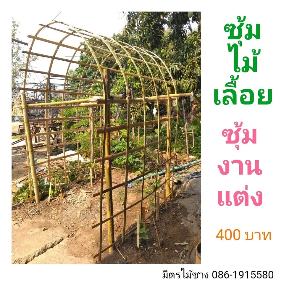 ซุ้มไม้เลื้อย / ซุ้มงานแต่ง — 2