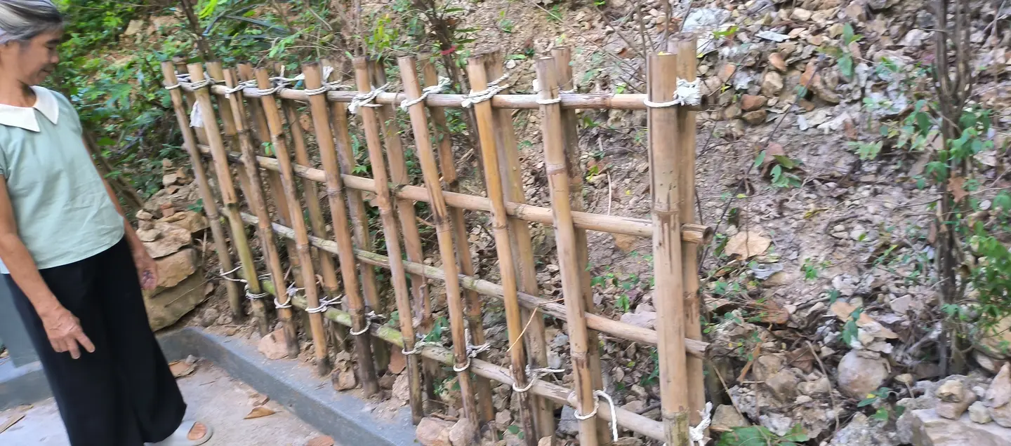 คอกกันต้นไม้ / รั้วล้อมต้นไม้ — 2