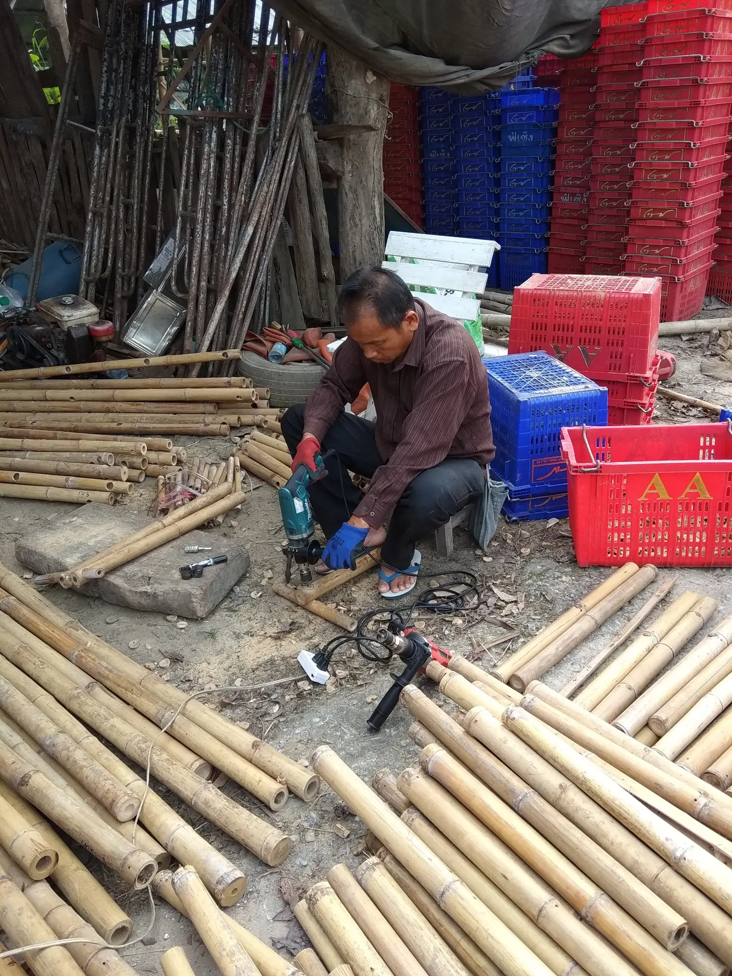 ไม้ไผ่ — มิตรไม้ซาง